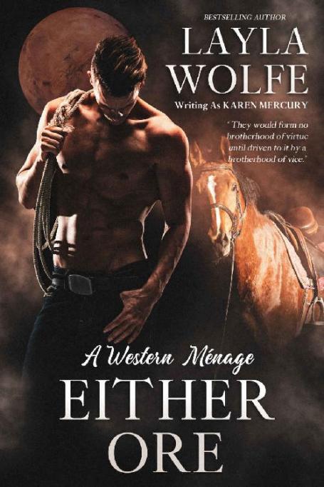 28 Fiction eBooks
