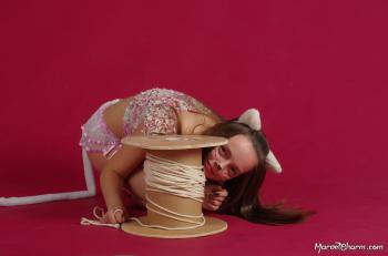 image hosted at ImgDrive.net