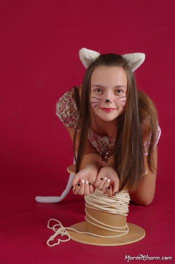 image hosted at ImgDrive.net