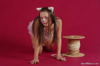 image hosted at ImgDrive.net