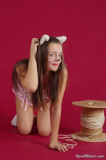 image hosted at ImgDrive.net