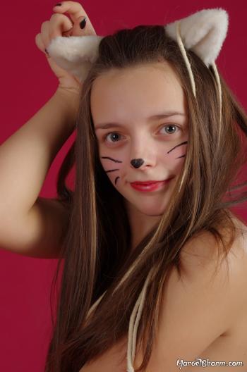 image hosted at ImgDrive.net