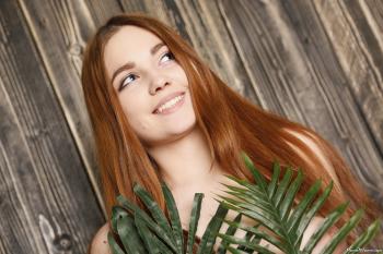 image hosted at ImgDrive.net