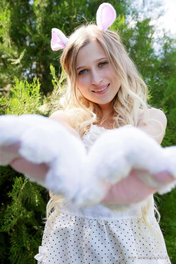 image hosted at ImgDrive.net