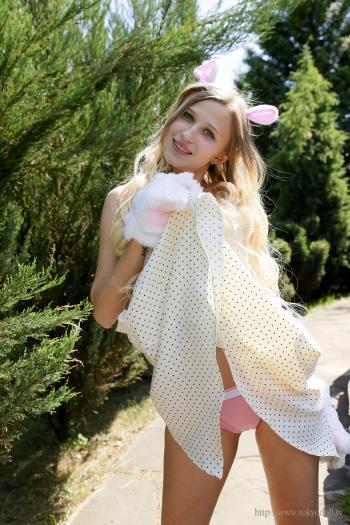 image hosted at ImgDrive.net