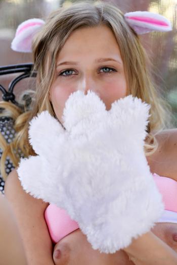 image hosted at ImgDrive.net