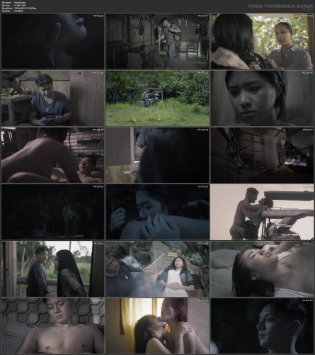 image hosted at ImgDrive.net