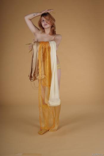 image hosted at ImgDrive.net