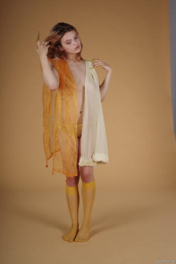 image hosted at ImgDrive.net