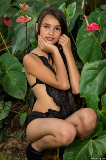 image hosted at ImgDrive.net