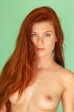 image hosted at ImgDrive.net