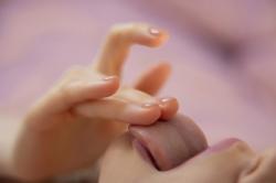 image hosted at ImgDrive.net