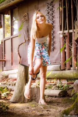 image hosted at ImgDrive.net