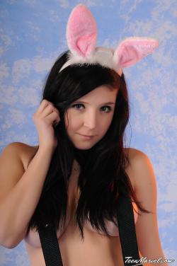 image hosted at ImgDrive.net