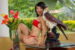 image hosted at ImgDrive.net