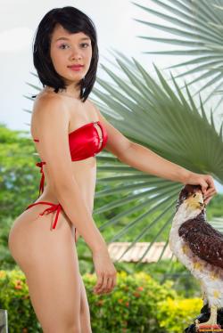 image hosted at ImgDrive.net