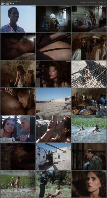 image hosted at ImgDrive.net