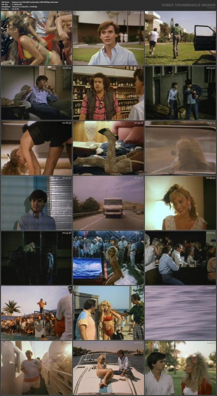 image hosted at ImgDrive.net