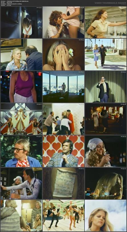 image hosted at ImgDrive.net