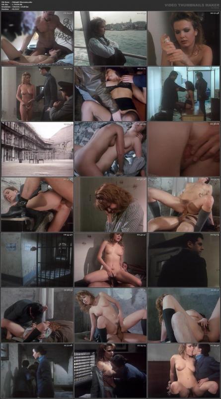 image hosted at ImgDrive.net