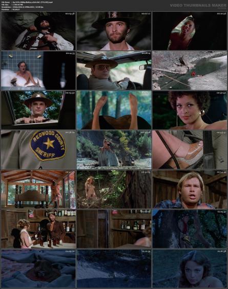 image hosted at ImgDrive.net