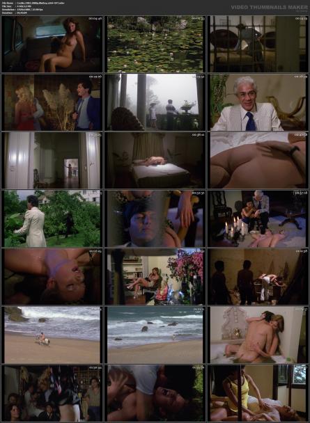 image hosted at ImgDrive.net