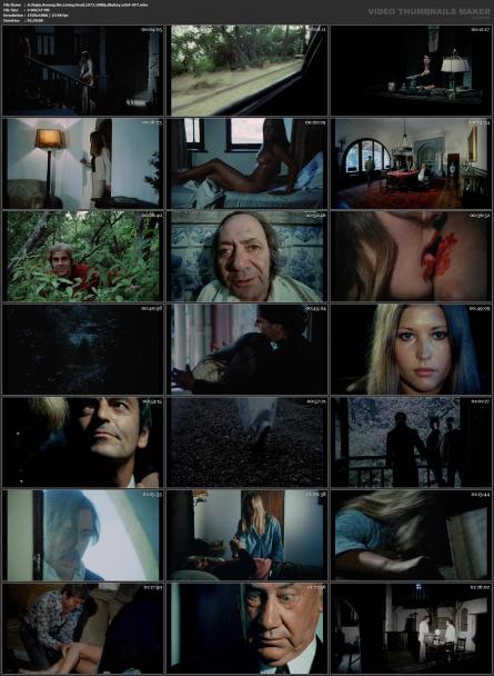 image hosted at ImgDrive.net