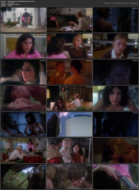 image hosted at ImgDrive.net