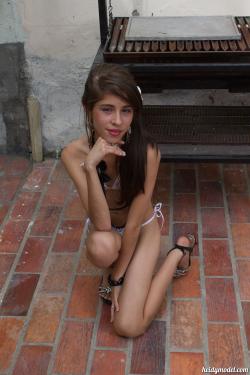 image hosted at ImgDrive.net