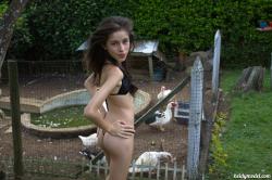 image hosted at ImgDrive.net