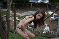 image hosted at ImgDrive.net