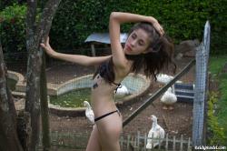 image hosted at ImgDrive.net