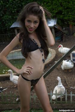 image hosted at ImgDrive.net