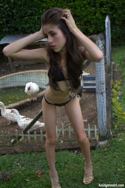 image hosted at ImgDrive.net