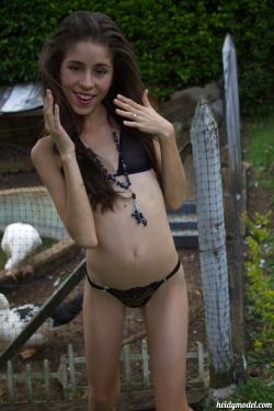 image hosted at ImgDrive.net