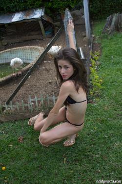 image hosted at ImgDrive.net