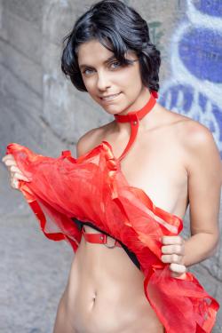 image hosted at ImgDrive.net