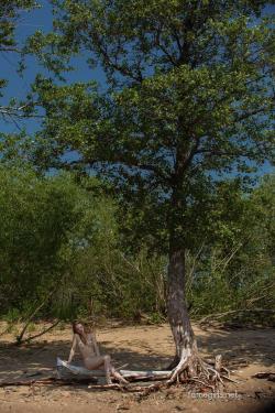 image hosted at ImgDrive.net