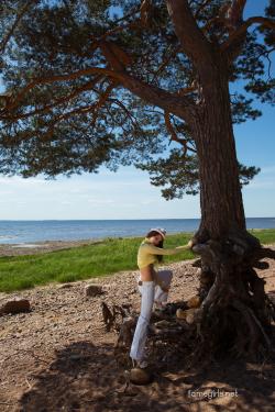 image hosted at ImgDrive.net