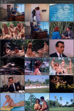 image hosted at ImgDrive.net