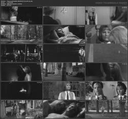 image hosted at ImgDrive.net