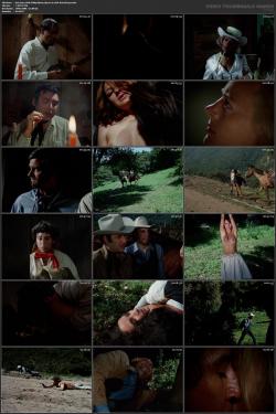 image hosted at ImgDrive.net