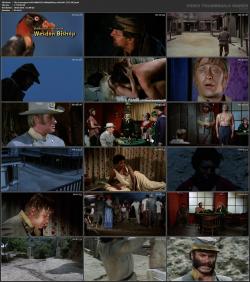 image hosted at ImgDrive.net