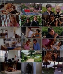 image hosted at ImgDrive.net