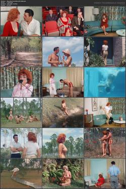 image hosted at ImgDrive.net