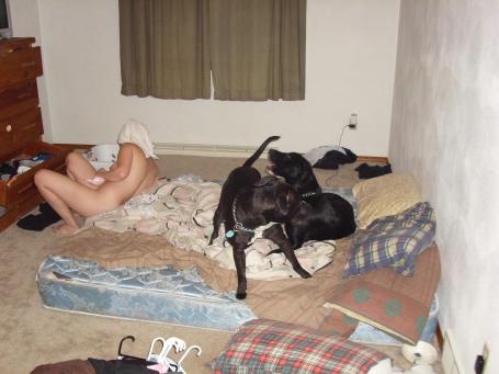 [Image: 68e811a15ad34.jpg]