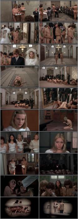 image hosted at ImgDrive.net