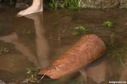 image hosted at ImgDrive.net