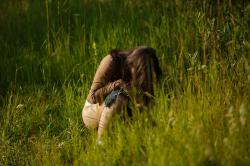 image hosted at ImgDrive.net