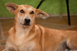 image hosted at ImgDrive.net